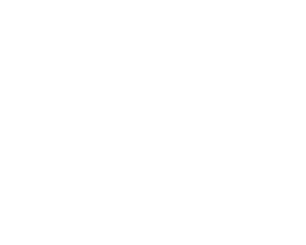 Boston Chimney Sweep